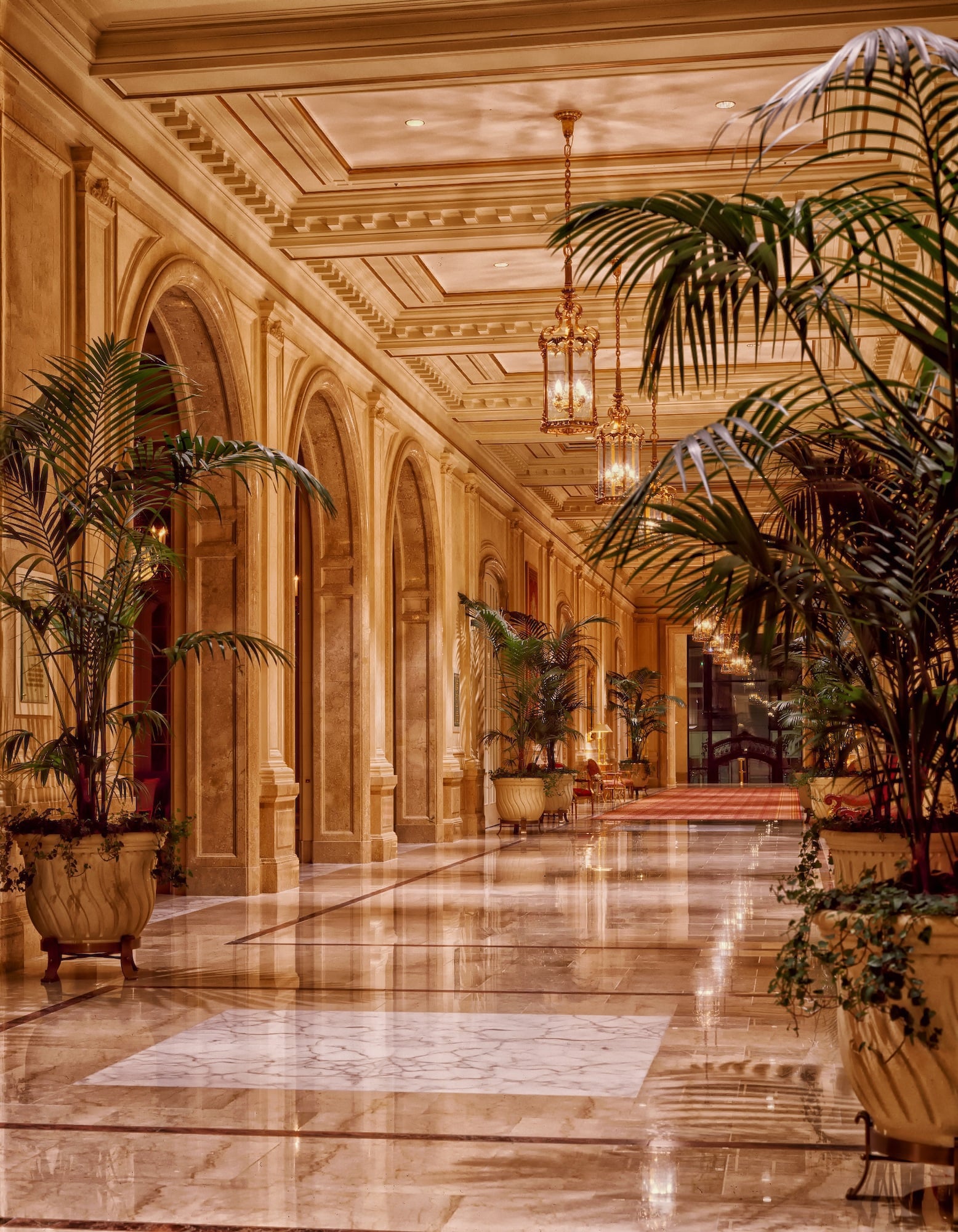 A Palace Reimagined