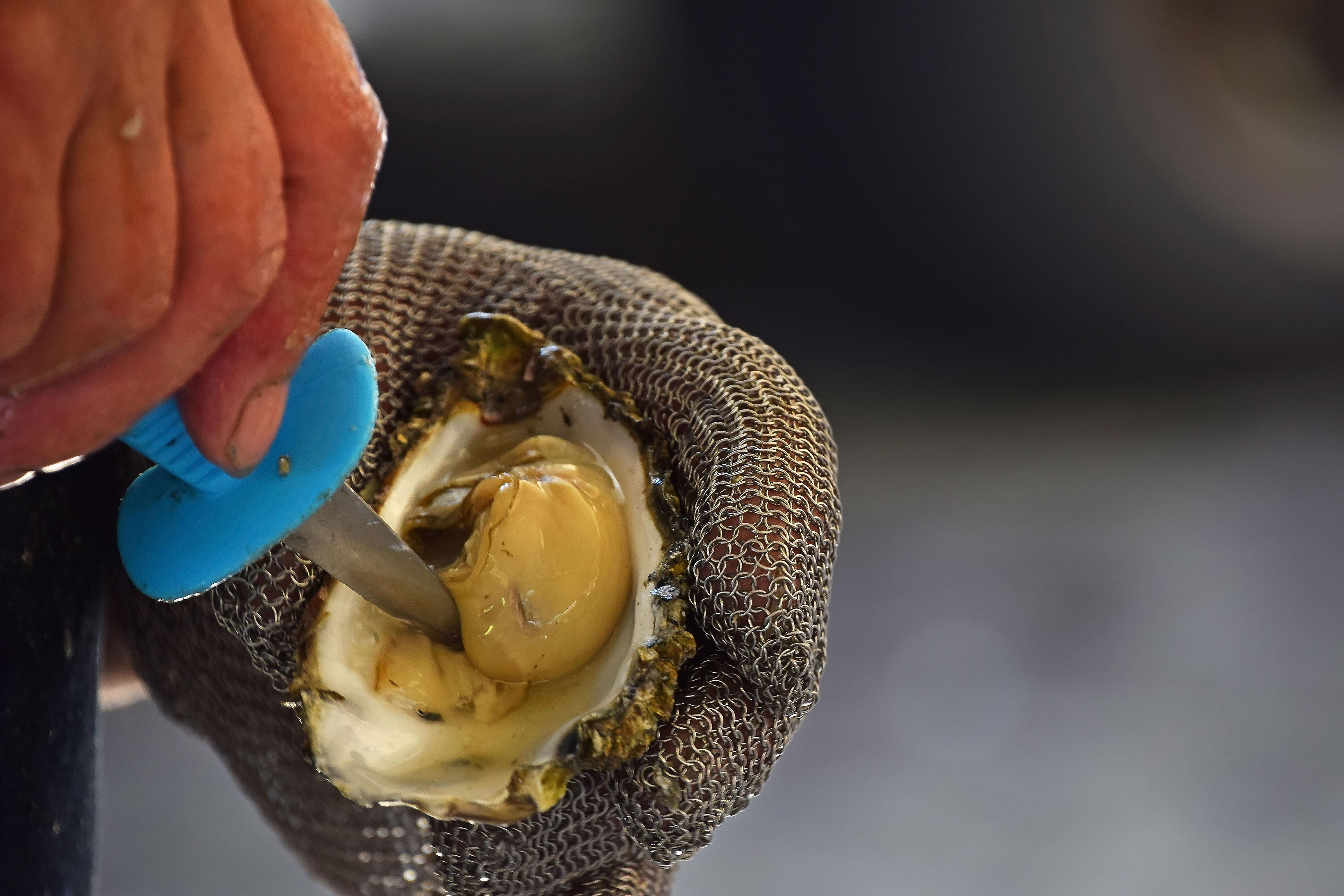 The Seafood Culture That Defines Matosinhos